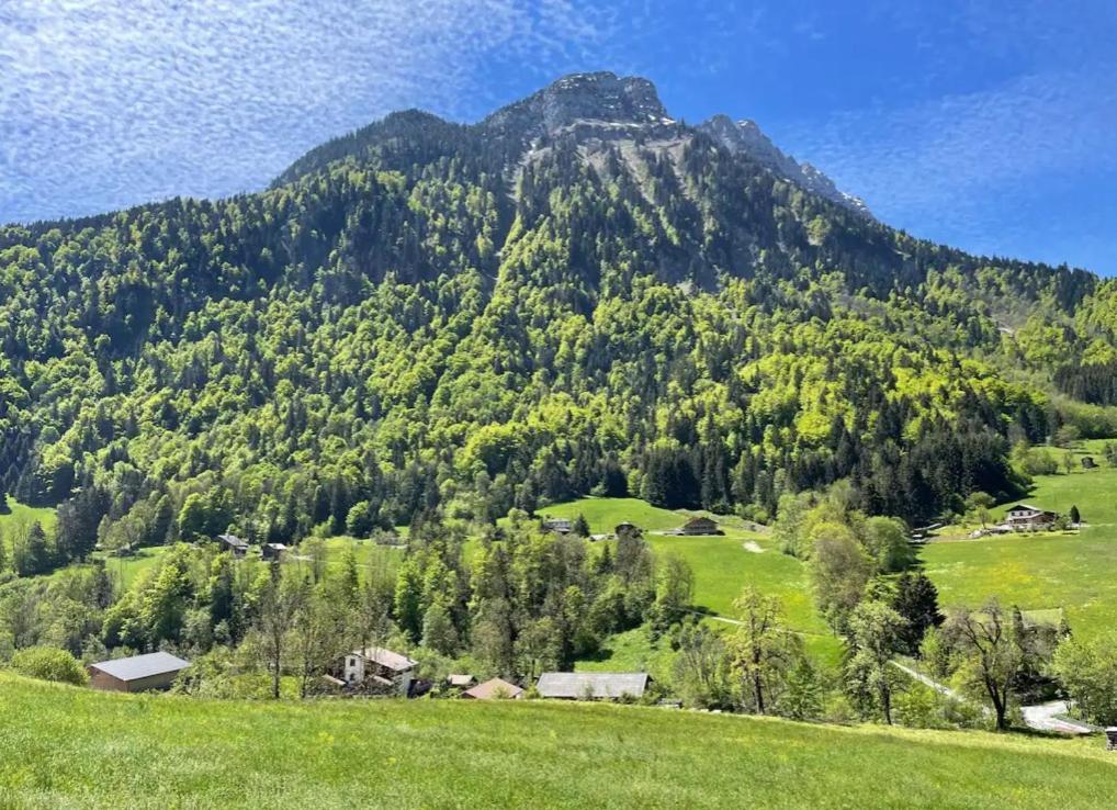 Le Chalet Des Reves - La Roche Blanche Entremont Exteriör bild